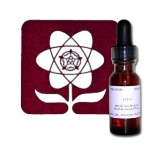 Les elixirs de Roses 2