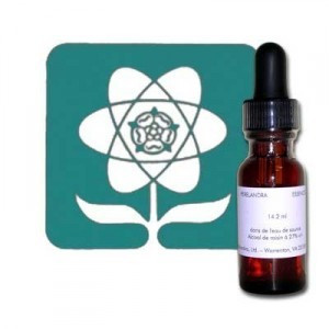 SR5 PERELANDRA 14.2ML