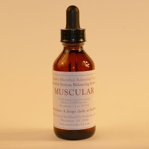 MUSCULAIRE MBP 59.1 ML