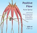 POSITIVE FLOW "bleu"