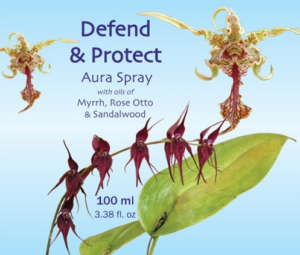 DEFEND and PROTECT